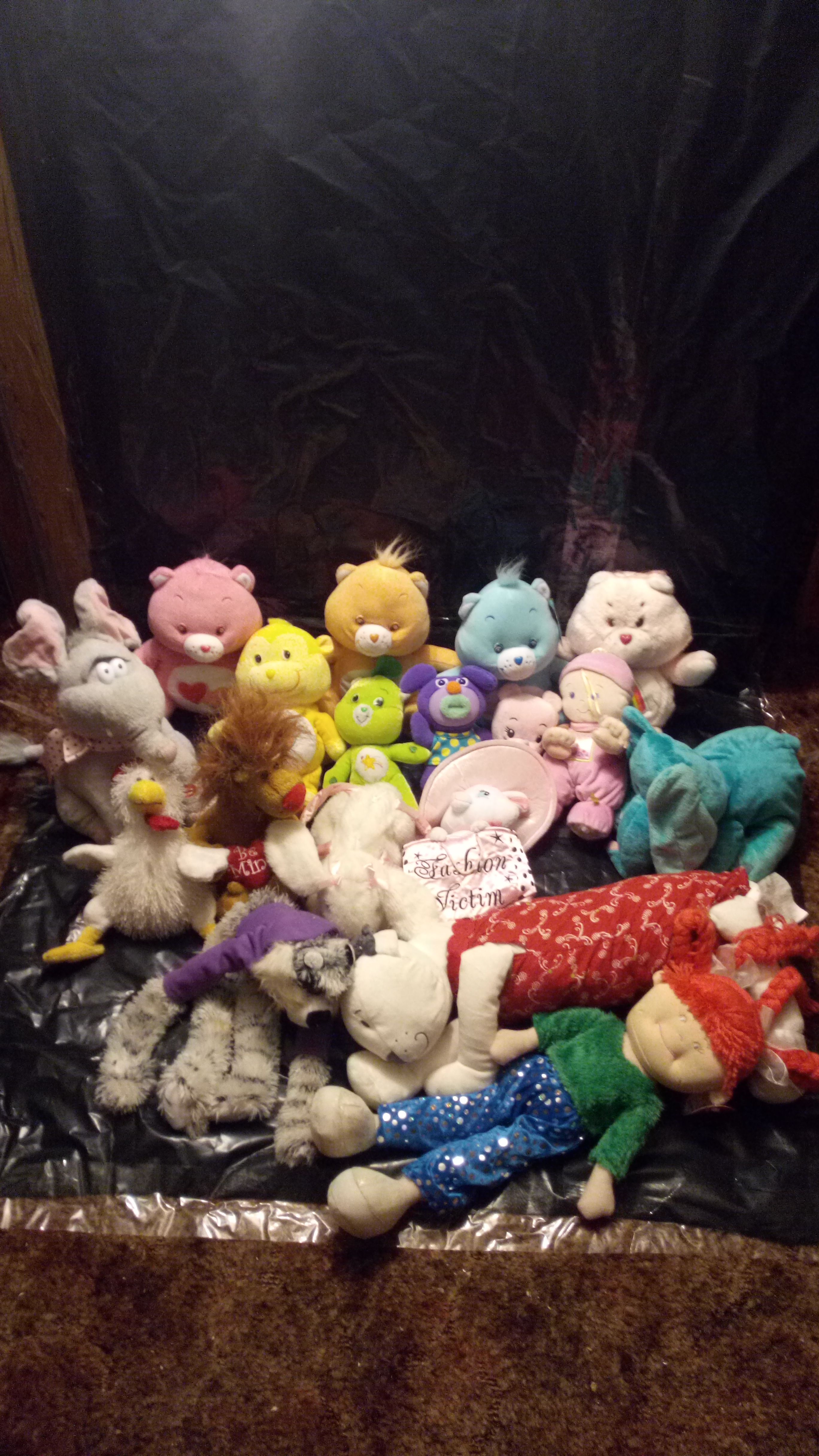 Care bear and other stuffed animals
