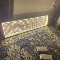 LED grow light MARS HYDRO TSL2000 300W 