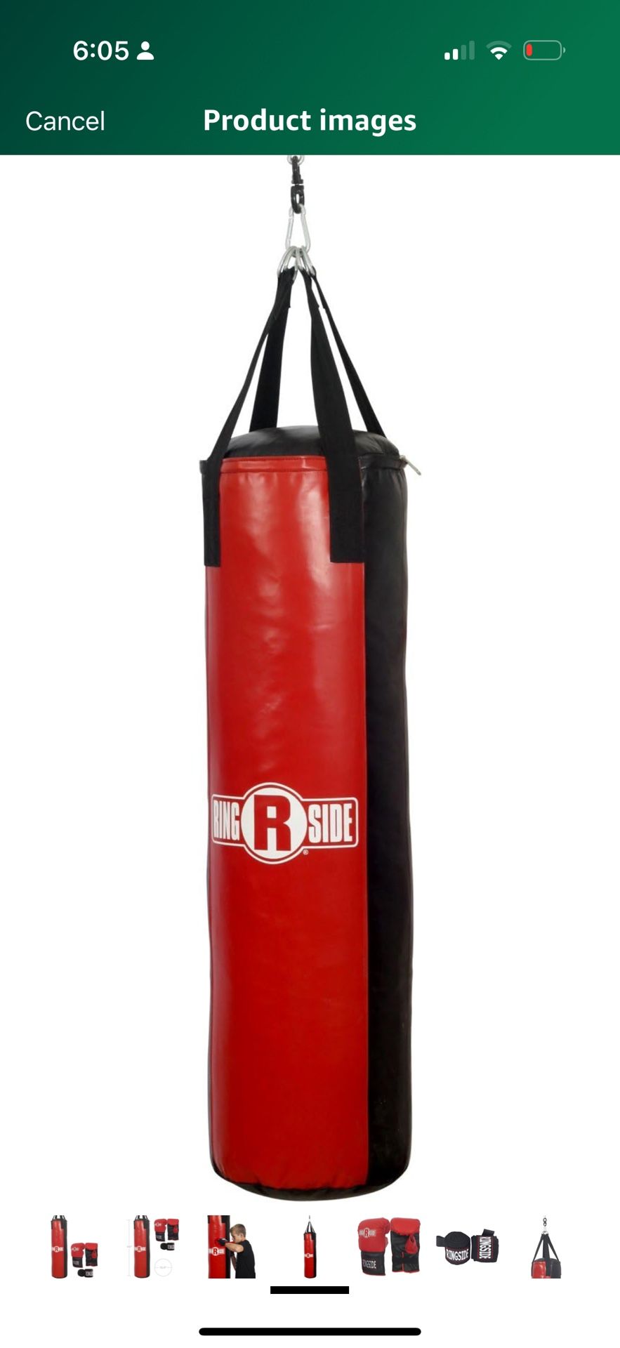 Punching Bag and Gloves (new)