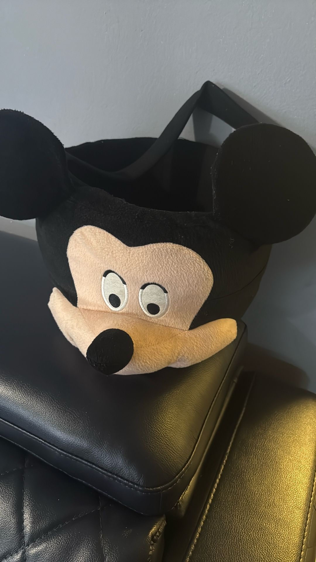 Mickey Moose Basket