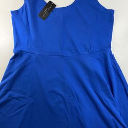 Brand New Blue Dress