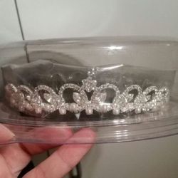 David's Bridal Tiara And Veil