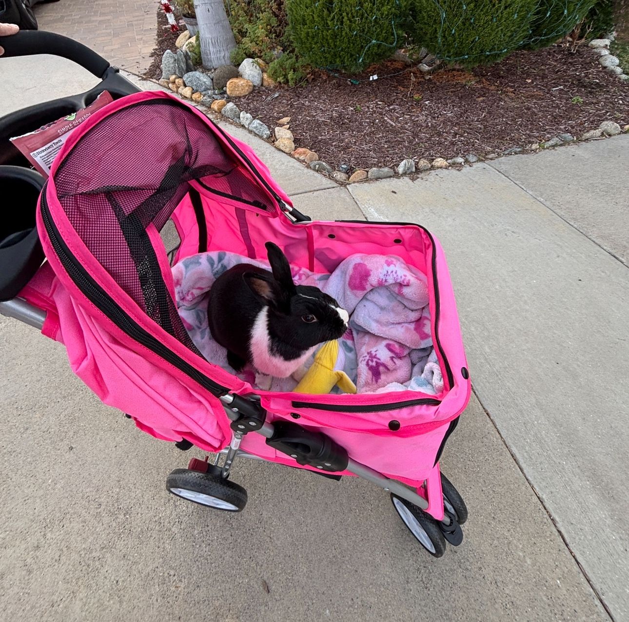 Pink Small Pet Stroller