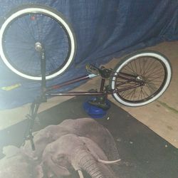DK 24' inch Bmx