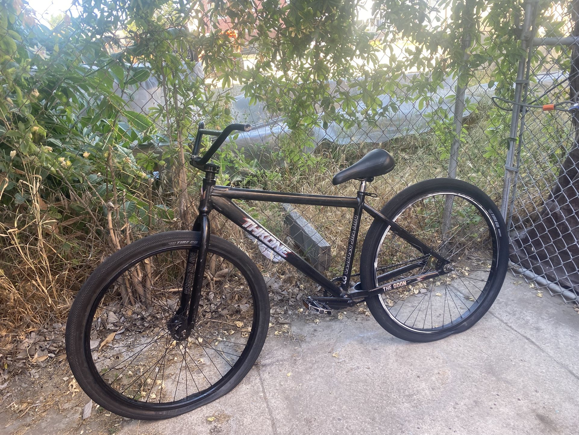 Throne 29er