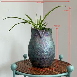Hand Painted Iridescent Aqua, Turquoise & Purple Owl Planter with Live Spider Plant