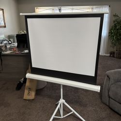 Brand New Projector Screen 