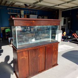 Fish Tank 55gl