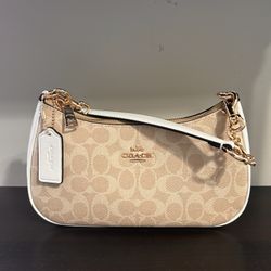 Teri Coach bag