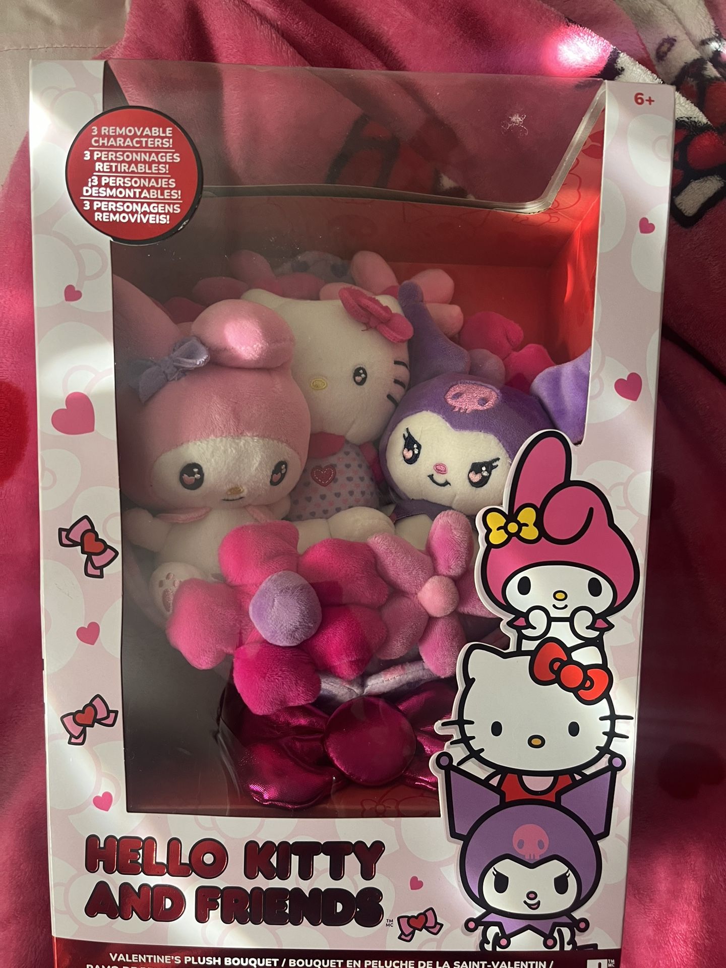 Hello Kitty And Friends Plush Bouquet