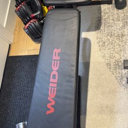 Work Out Bench
