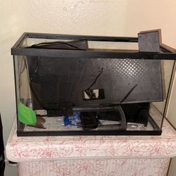 Herramientas Y Pecera Y Aspiradora 