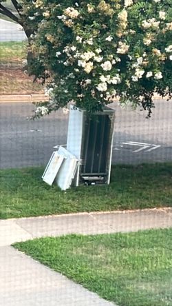 Free fridge