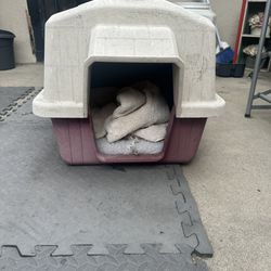 SMALL DOG HOUSE