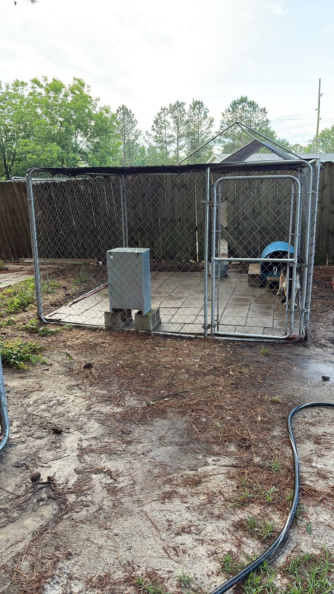 Dog Kennel