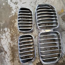Bmw Kidney Grills 