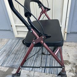 Extra Large Adult Walker With Seat