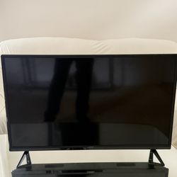 30in Vizio Flat Television 