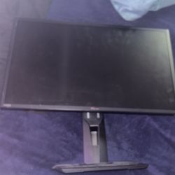 Asus Monitor 