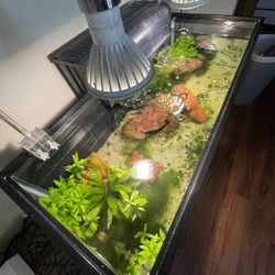 20 Gallon Long Fish Tank Aquarium 