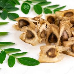 Moringa Seeds