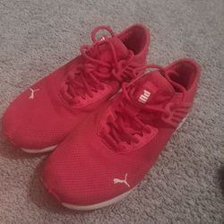 PUMA