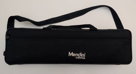 Mendini by Cecilio student flute. 
See the photos for more details.