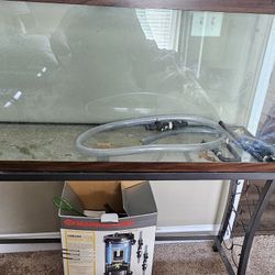50 Gallon Aquarium 