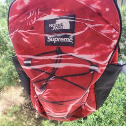Supreme Northface Back Pack