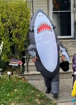 Shark costume