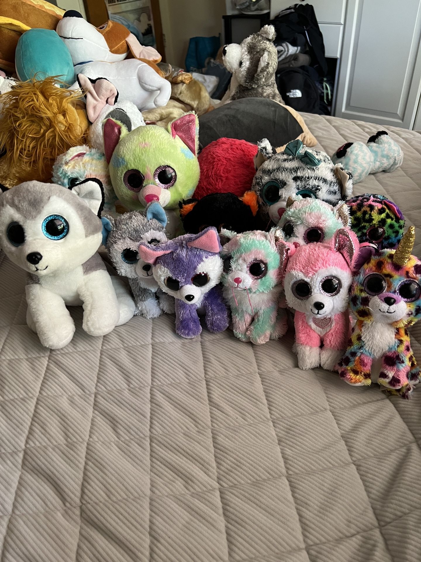 Stuffed Animal Plushies