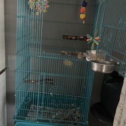 Bird Cage