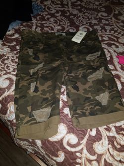 Ladies Shorts Size 2x