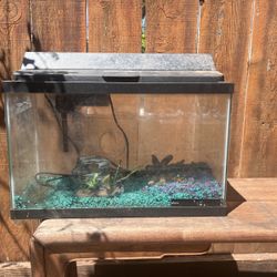 Fish Tank, 10gal