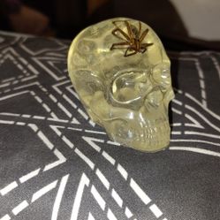 Epoxy Skull With Real Spider 