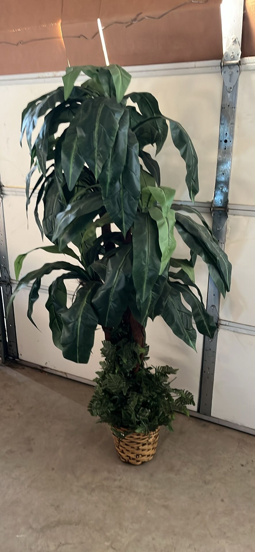 The artificial plants . Tall 64 inch