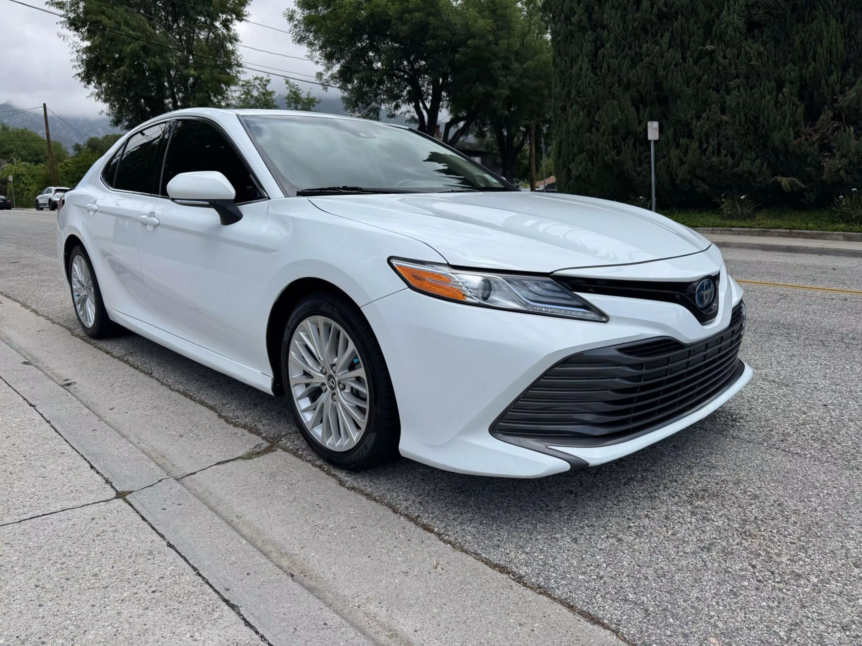 2019 Toyota Camry Hybrid
