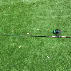 Inshore Spinning Combo