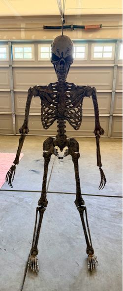 Halloween skeleton decor