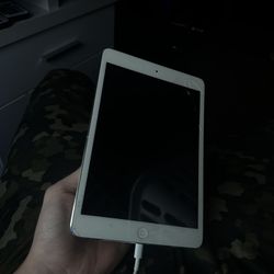 I pad mini