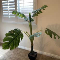 Fake Indoor Plant 