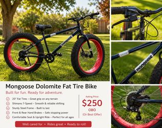 Mongoose Dolomite Fat Tire Bike