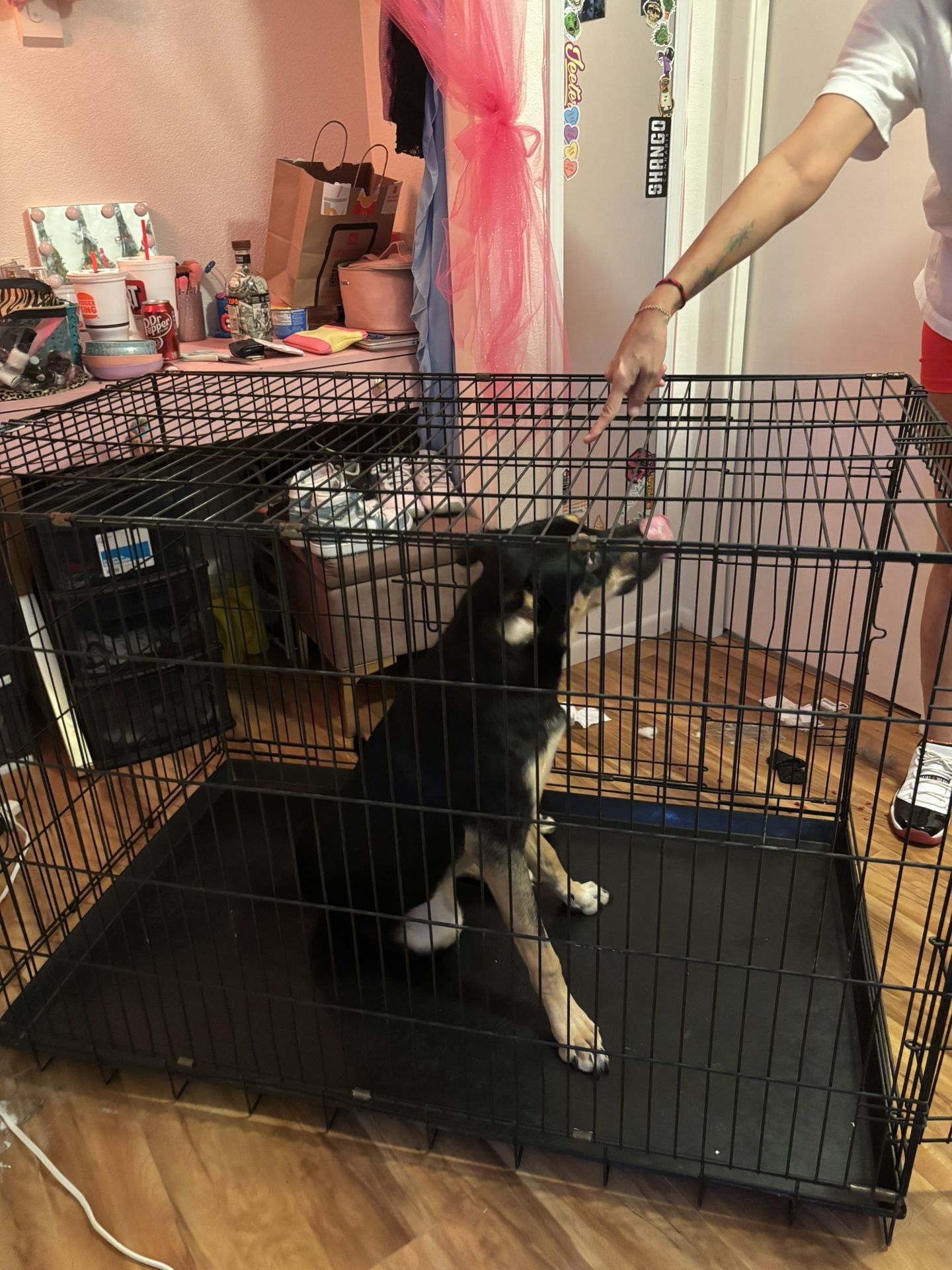 XL dog cage
