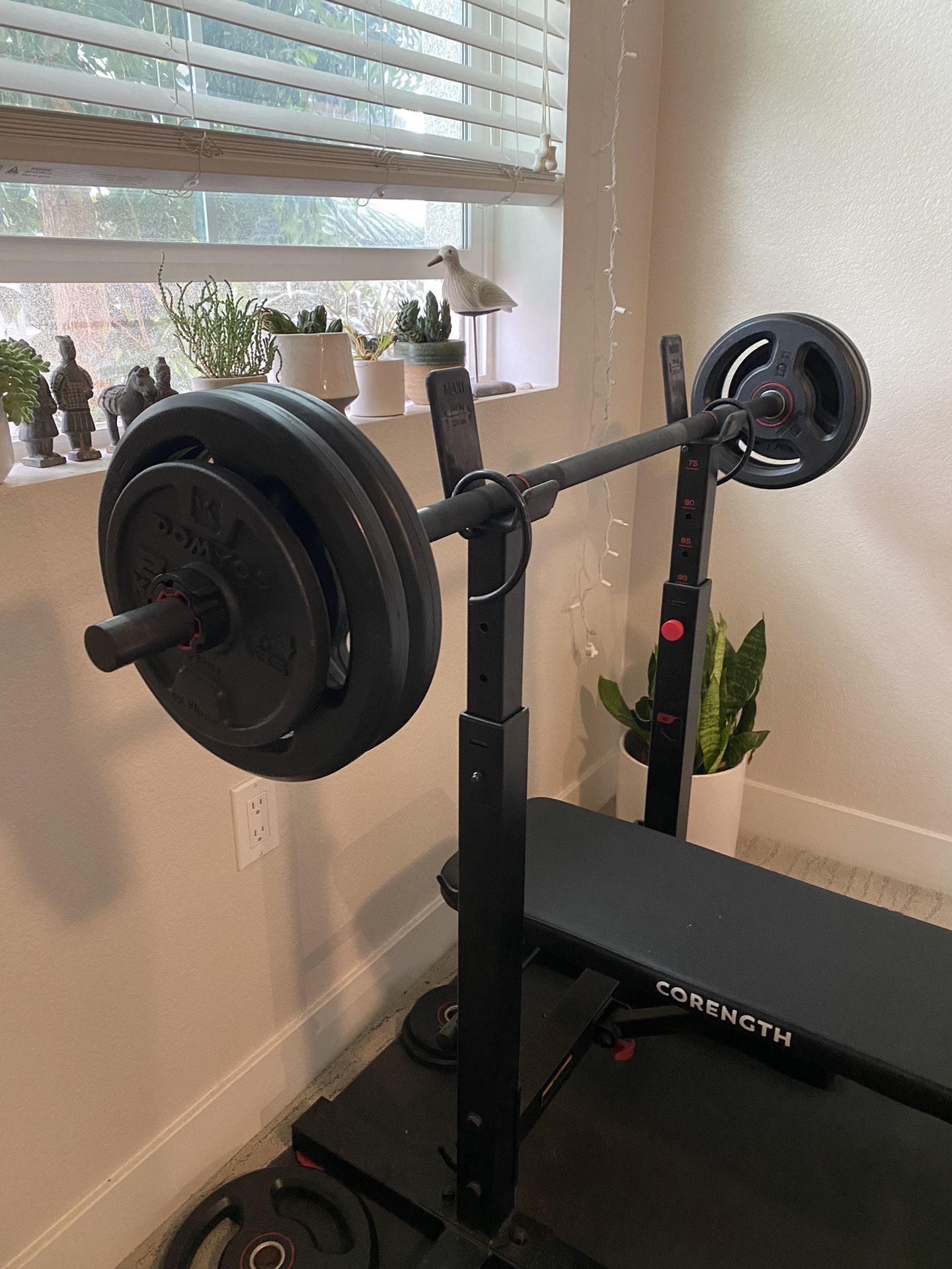Weight Benches
