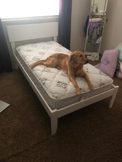 Free Twin Bed Frame