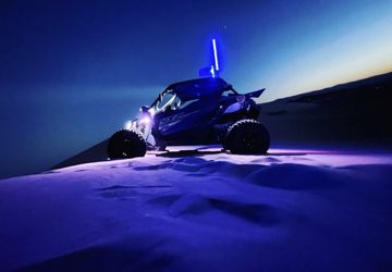 2019 Yxz1000