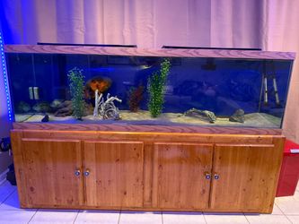125 Gallon Fish Tank Aquarium - Full Setup!