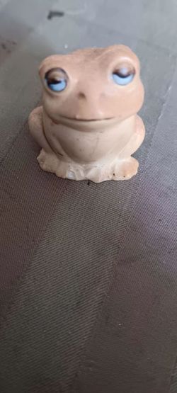 Frog