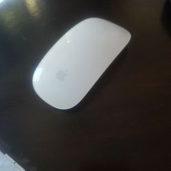 Wireless Apple Magic Mouse