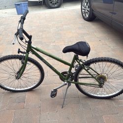 Free 12 Speed Bike